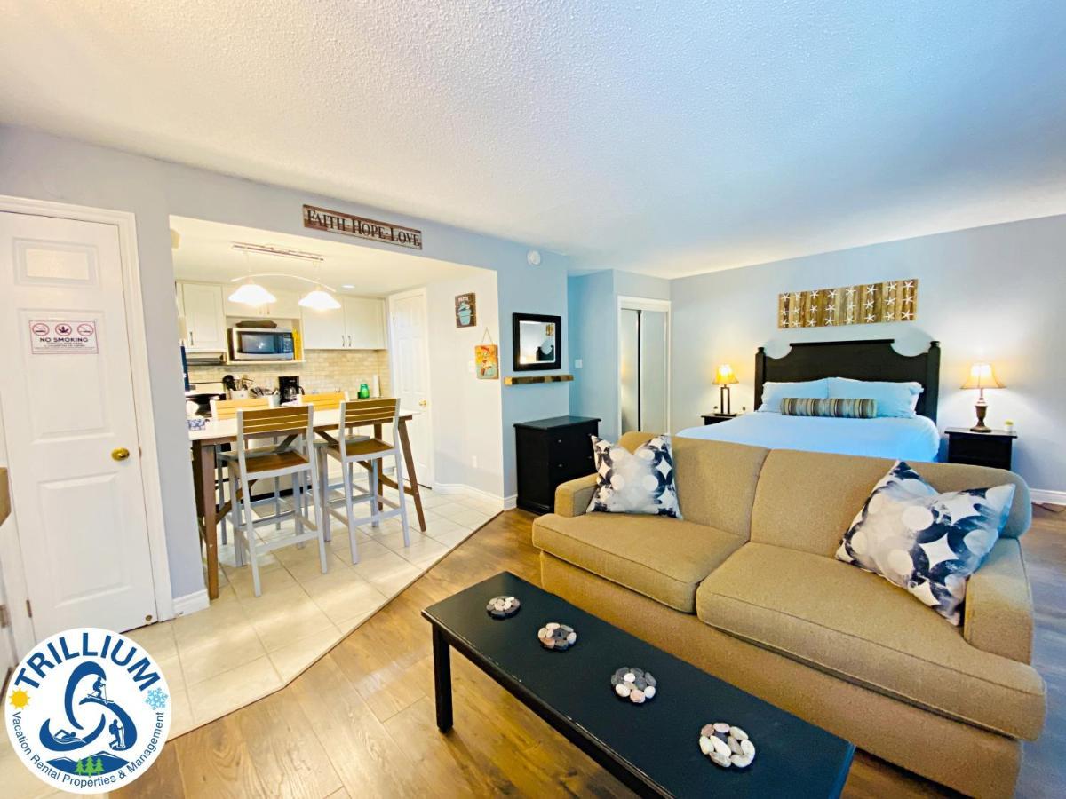 Slopeside Blue Mountain Condo - Wifi, Linens/Towels, Ski In/Out Блу Маунтинс Екстериор снимка